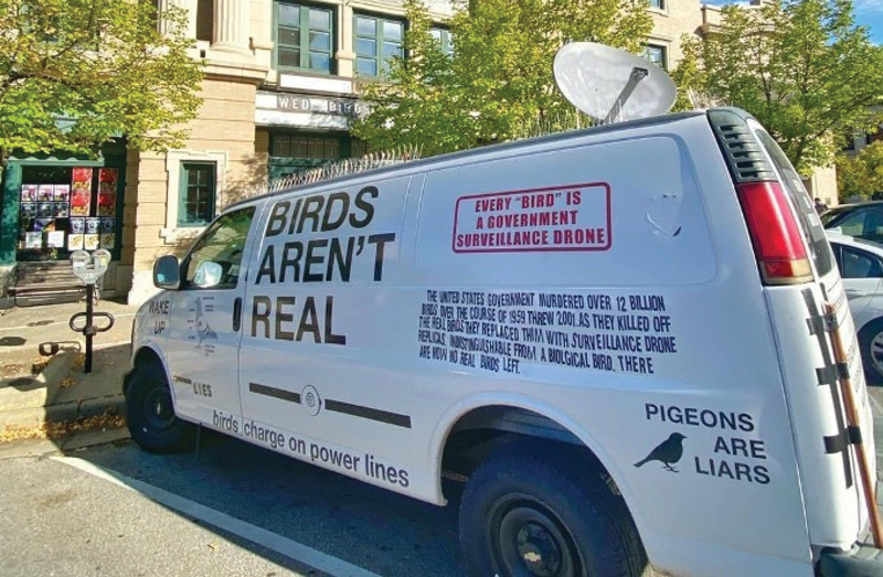bird