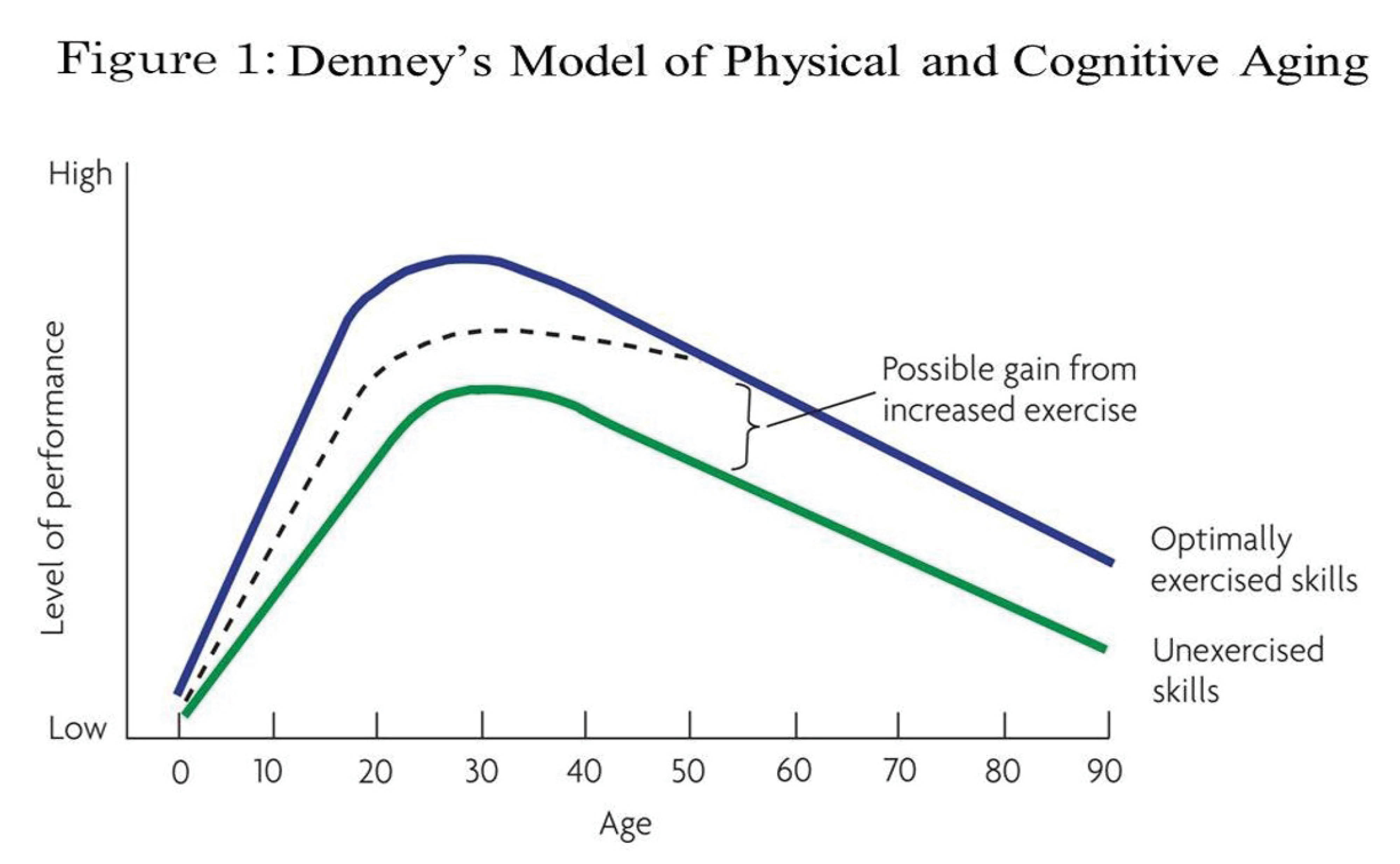 cognictive-aging
